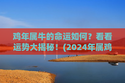鸡年属牛的命运如何？看看运势大揭秘！(2024年属鸡命运怎样呢)