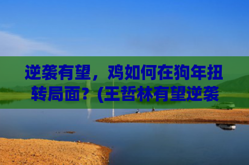 逆袭有望，鸡如何在狗年扭转局面？(王哲林有望逆袭)