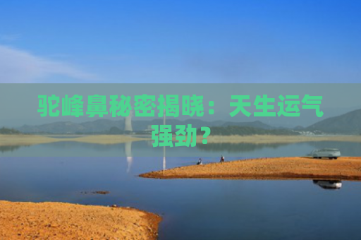 驼峰鼻秘密揭晓：天生运气强劲？