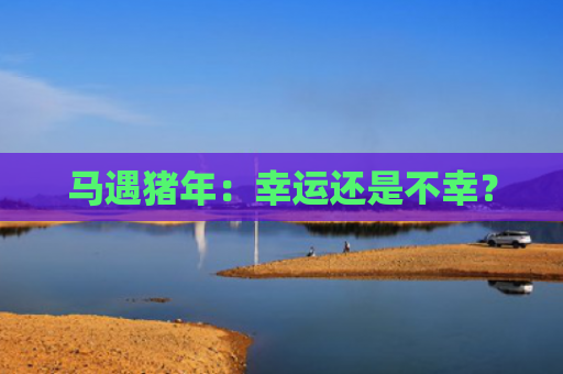 马遇猪年：幸运还是不幸？
