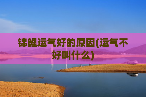 锦鲤运气好的原因(运气不好叫什么)