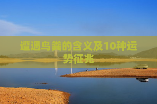 遭遇鸟粪的含义及10种运势征兆