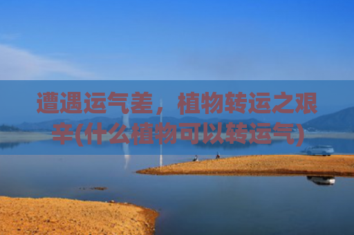 遭遇运气差，植物转运之艰辛(什么植物可以转运气)