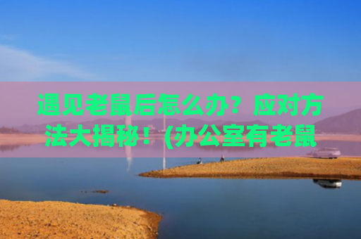 遇见老鼠后怎么办？应对方法大揭秘！(办公室有老鼠怎么办)