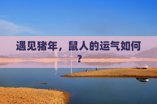遇见猪年，鼠人的运气如何？