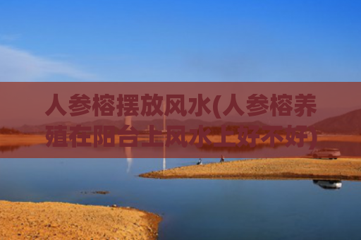 人参榕摆放风水(人参榕养殖在阳台上风水上好不好)