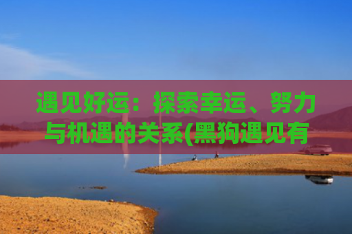 遇见好运：探索幸运、努力与机遇的关系(黑狗遇见有好运)
