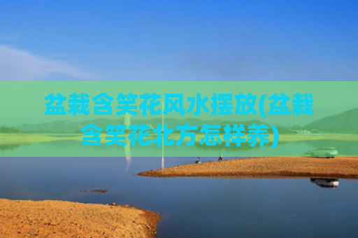 盆栽含笑花风水摆放(盆栽含笑花北方怎样养)