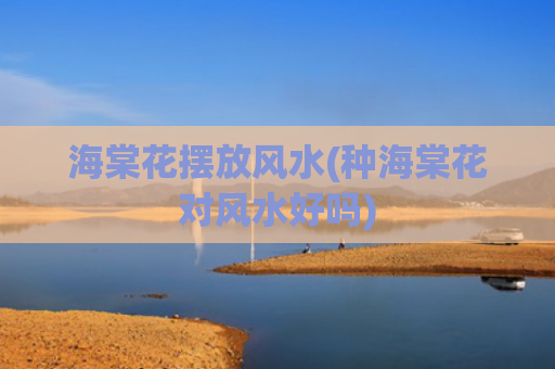 海棠花摆放风水(种海棠花对风水好吗)