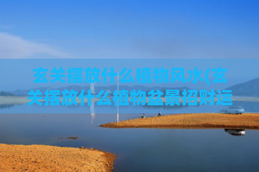 玄关摆放什么植物风水(玄关摆放什么植物盆景招财运)