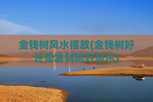 金钱树风水摆放(金钱树好还是发财树好风水)