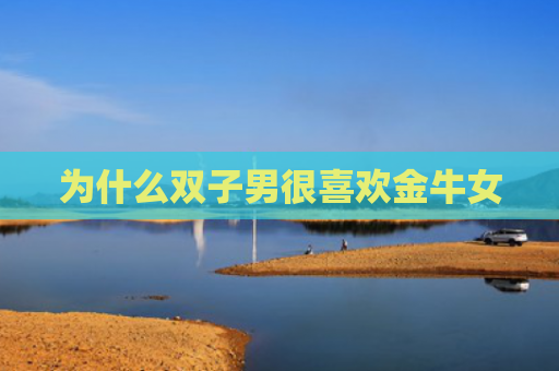 为什么双子男很喜欢金牛女