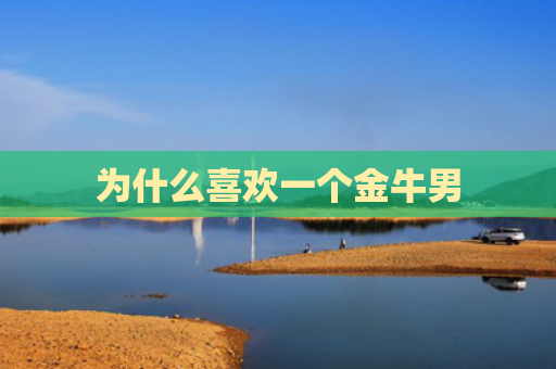 为什么喜欢一个金牛男