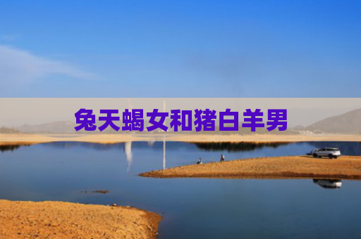 兔天蝎女和猪白羊男