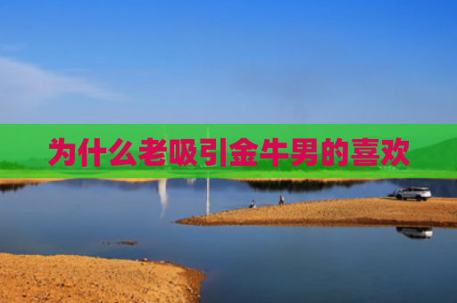 为什么老吸引金牛男的喜欢