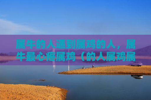 属牛的人遇到属鸡的人，属牛最心疼属鸡（的人属鸡属牛）