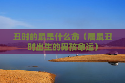 丑时的鼠是什么命（属鼠丑时出生的男孩命运）