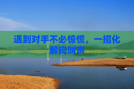 遇到对手不必惊慌，一招化解狗叫声