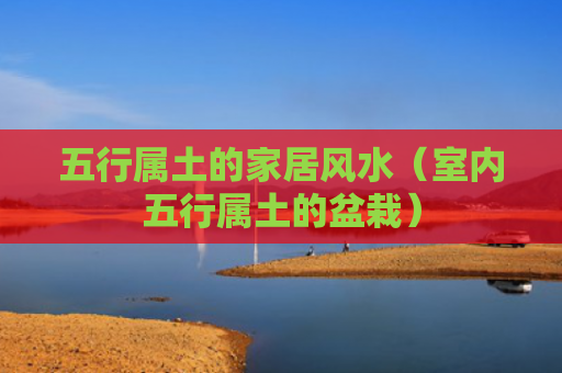 五行属土的家居风水（室内五行属土的盆栽）