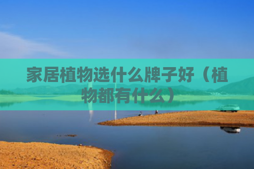 家居植物选什么牌子好（植物都有什么）