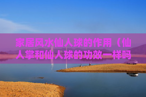 家居风水仙人球的作用（仙人掌和仙人球的功效一样吗）