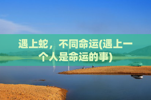 遇上蛇，不同命运(遇上一个人是命运的事)