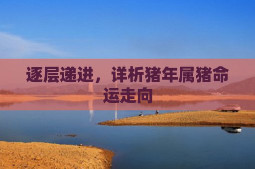 逐层递进，详析猪年属猪命运走向