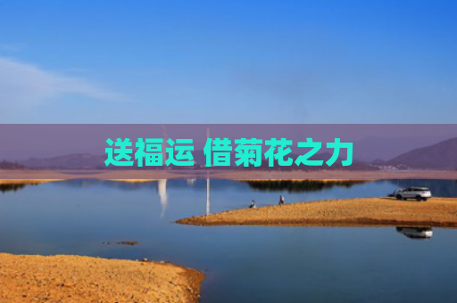 送福运 借菊花之力