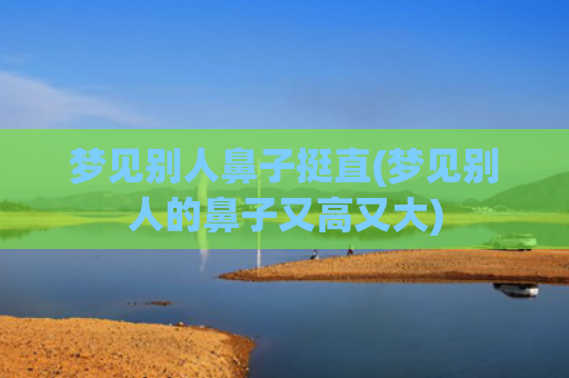 梦见别人鼻子挺直(梦见别人的鼻子又高又大)