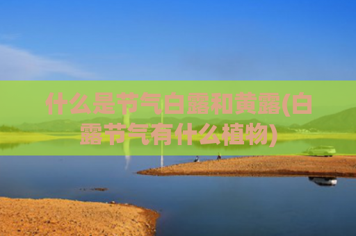 什么是节气白露和黄露(白露节气有什么植物)