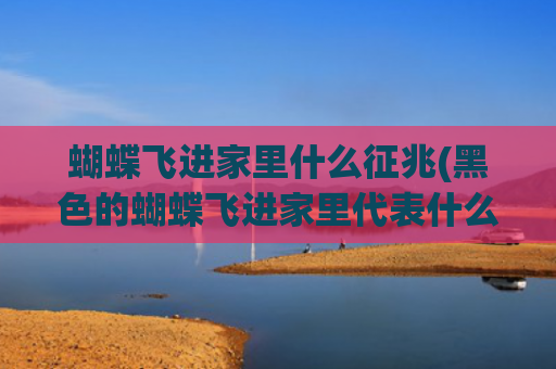 蝴蝶飞进家里什么征兆(黑色的蝴蝶飞进家里代表什么)