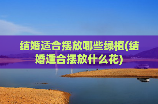 结婚适合摆放哪些绿植(结婚适合摆放什么花)