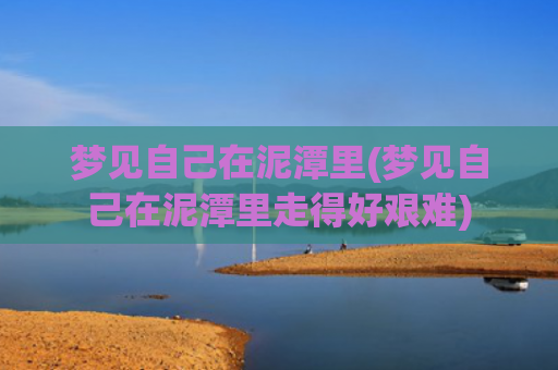 梦见自己在泥潭里(梦见自己在泥潭里走得好艰难)
