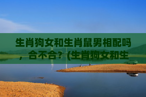 生肖狗女和生肖鼠男相配吗，合不合？(生肖狗女和生肖鼠男相配吗)