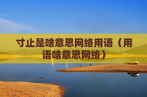 寸止是啥意思网络用语（用语啥意思网络）
