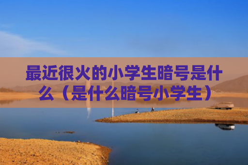 最近很火的小学生暗号是什么（是什么暗号小学生）