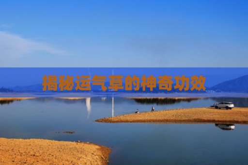 揭秘运气草的神奇功效