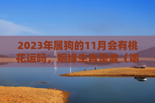 2023年属狗的11月会有桃花运吗，姻缘生肖是谁（姻缘桃花运属狗的）