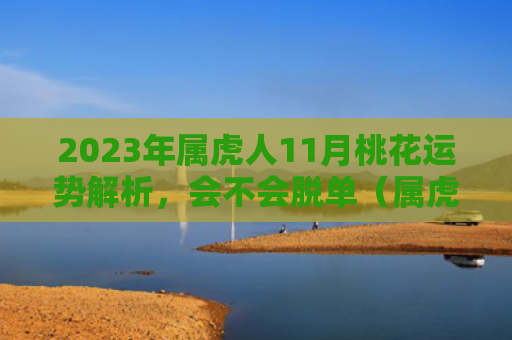 2023年属虎人11月桃花运势解析，会不会脱单（属虎人运势脱单）