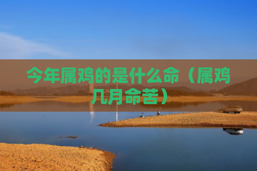 今年属鸡的是什么命（属鸡几月命苦）