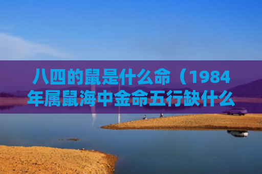 八四的鼠是什么命（1984年属鼠海中金命五行缺什么）