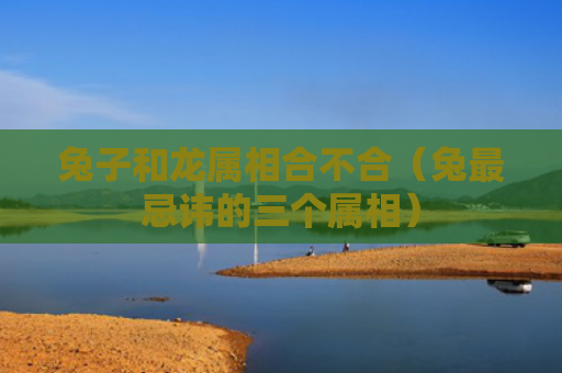 兔子和龙属相合不合（兔最忌讳的三个属相）