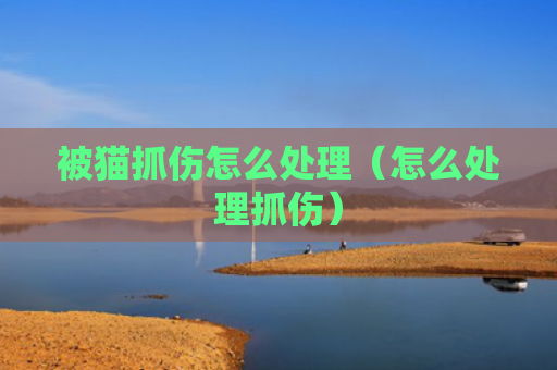 被猫抓伤怎么处理（怎么处理抓伤）