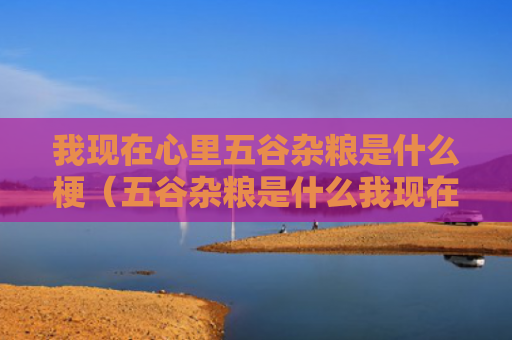 我现在心里五谷杂粮是什么梗（五谷杂粮是什么我现在）
