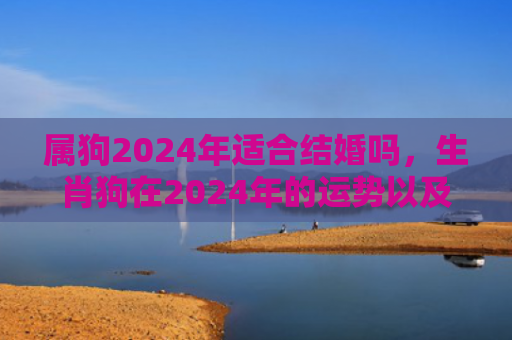 属狗2024年适合结婚吗，生肖狗在2024年的运势以及注意月份