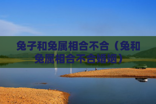 兔子和兔属相合不合（兔和兔属相合不合婚姻）