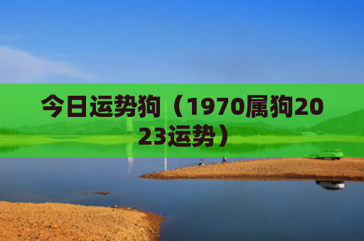 今日运势狗（1970属狗2023运势）