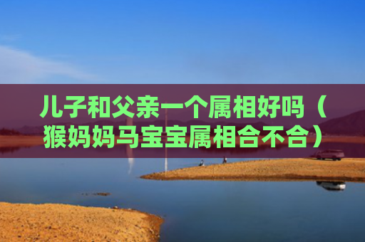 儿子和父亲一个属相好吗（猴妈妈马宝宝属相合不合）