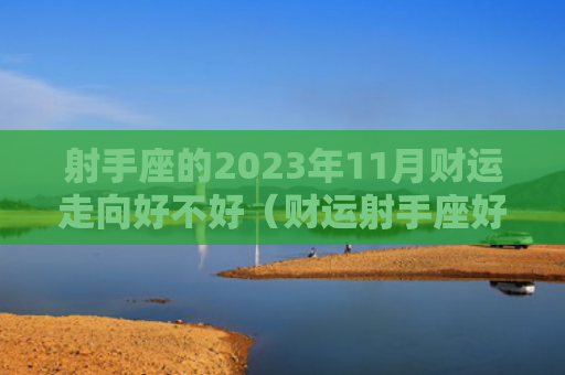 射手座的2023年11月财运走向好不好（财运射手座好不好）