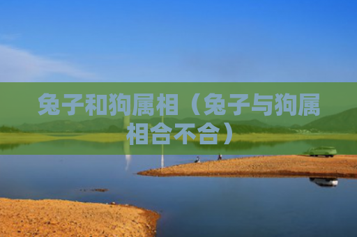 兔子和狗属相（兔子与狗属相合不合）